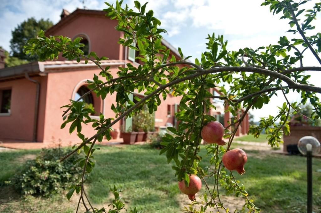 פאלאיה Podere Chiaromonte מראה חיצוני תמונה
